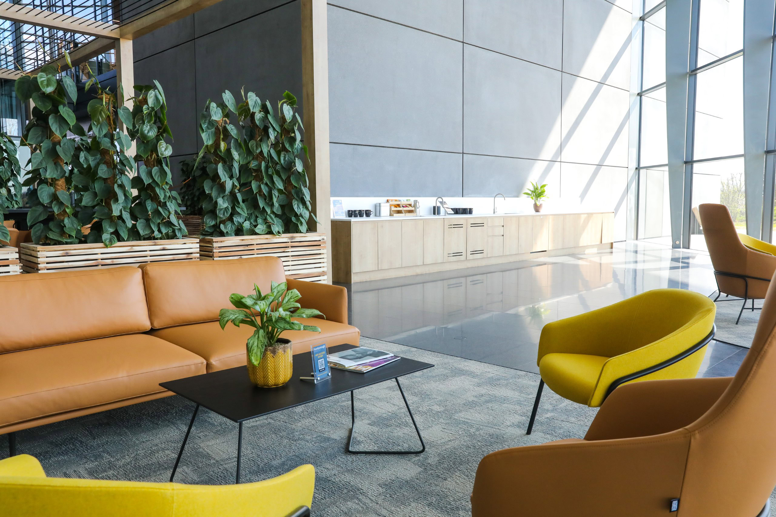 The modern office space features a lounge with a colourful furniture and a black table with a plant